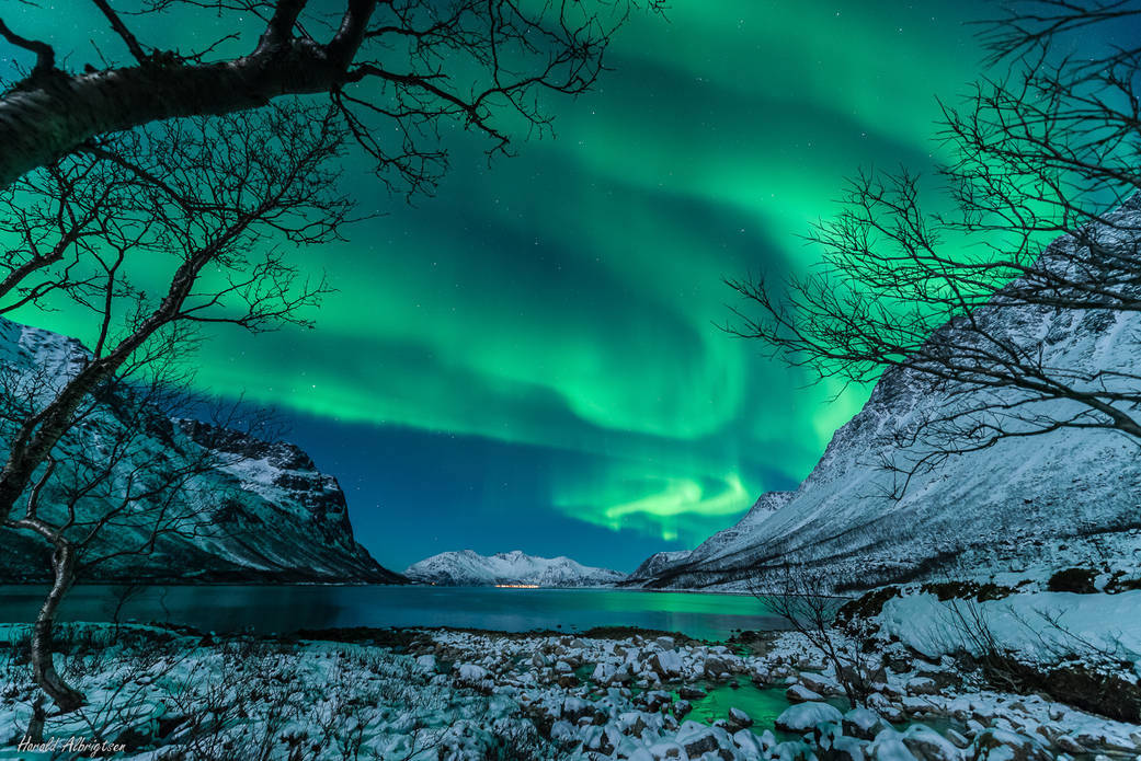Aurora in the sky on a winter night