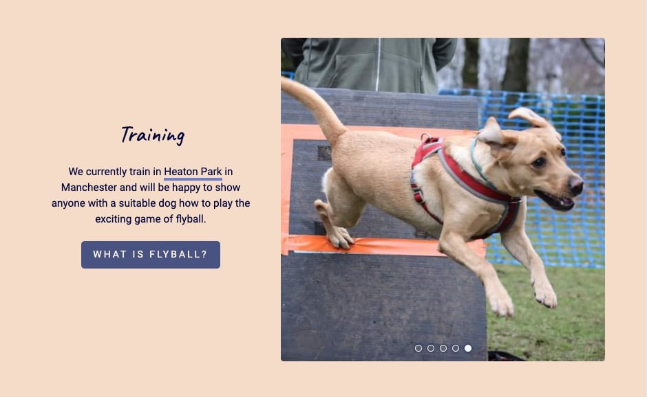 Example of the typography on the Northern Bytes Flyball website