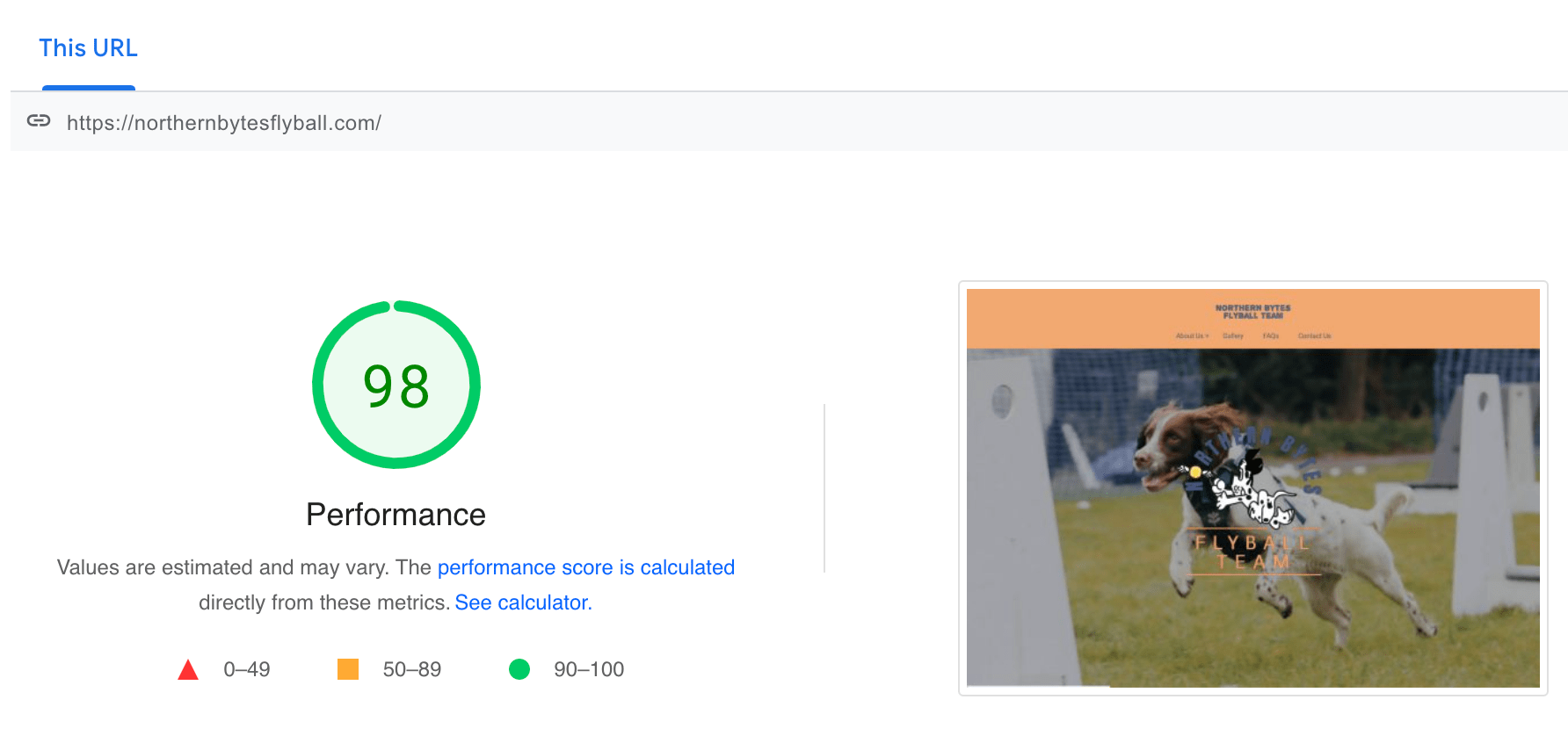 Google Page speed test score